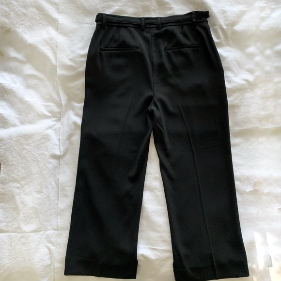 Aritzia Babaton Black Lambros Pants - Picture 3 of 8
